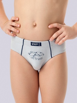 Трусы для мальчика, 2 шт.,  BP 371311 серый