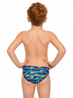 Плавки для мальчика,  BP091802AN синий