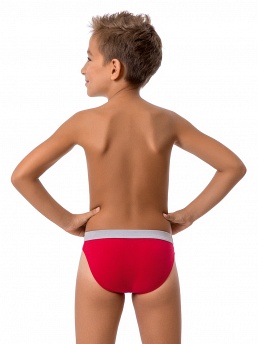 Трусы для мальчика, 2 шт., Nirey BP99058, серый/бордовый,  BP99058 