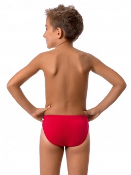 Трусы для мальчика, 2 шт., Nirey BP99059, серый/бордовый,  BP99059 