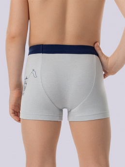 Трусы-шорты для мальчиков,  BX 371315 A серый