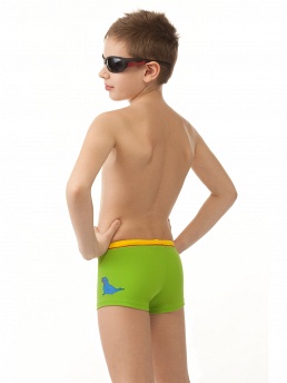 Плавки Ruedo,  BX031304 Ruedo зелёный