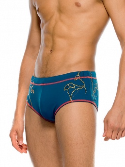 Плавки Snake,  BX061108 Snake синий