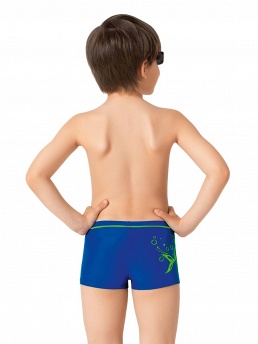 Плавки Flip,  BX081506 Flip голубой