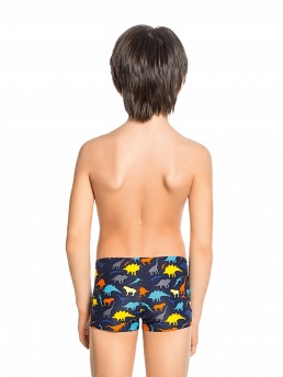 Плавки для мальчика Wyoming,  BX081701 Wyoming разноцветный