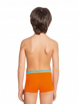 Плавки для мальчика Arlo,  BX081703 Arlo разноцветный