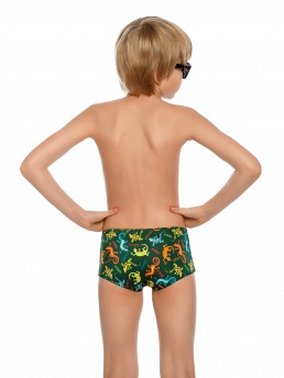 Плавки для мальчика,  BX081805AN зелёный