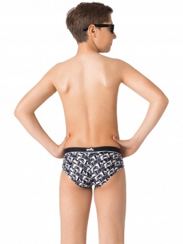 Плавки Hortex,  BX131502 Hortex разноцветный