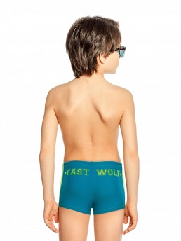 Плавки для мальчика Wolf,  BX141704 Wolf разноцветный
