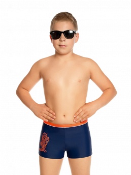 Плавки для мальчика Freestyle,  BX141710 Freestyle разноцветный