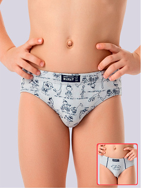 Трусы для мальчика, 2 шт.,  BP 371311 серый