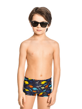Плавки для мальчика Wyoming,  BX081701 Wyoming разноцветный